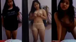 Tete susi tobrut liev