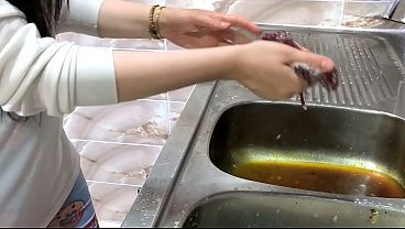 كفيل سعودي ينيك الخادمة المصرية بقوة في غياب مرته