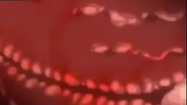 Anime Otak Wajib Nonton Tontonan Mesum